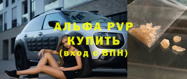 прущие грибы Каменск-Шахтинский