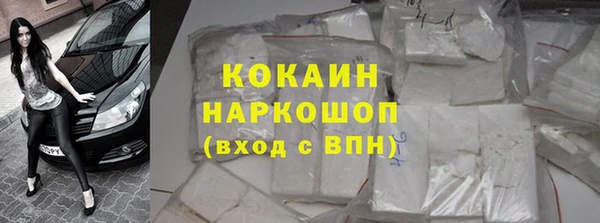 прущие грибы Каменск-Шахтинский