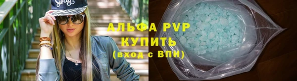 стаф Каменногорск