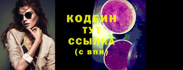 прущие грибы Каменск-Шахтинский
