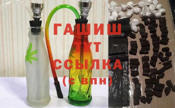 стаф Каменногорск