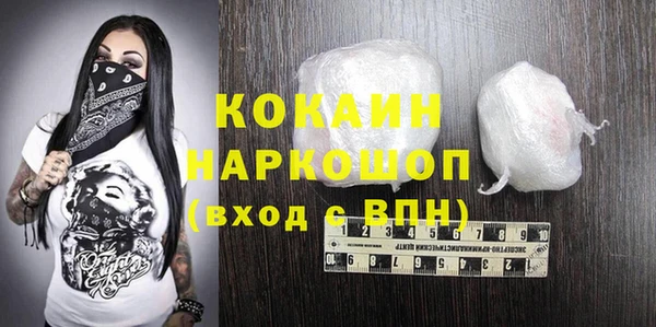 стаф Каменногорск