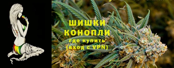 стаф Каменногорск