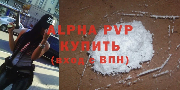 прущие грибы Каменск-Шахтинский