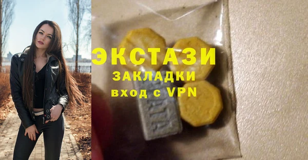 стаф Каменногорск