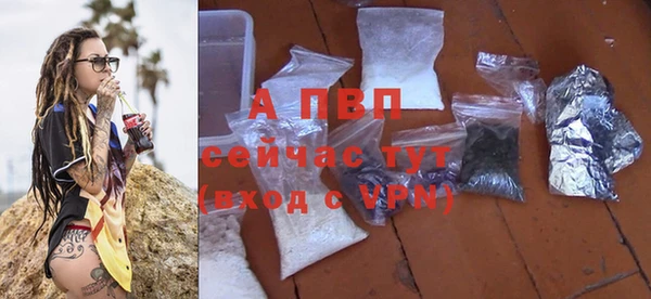 прущие грибы Каменск-Шахтинский