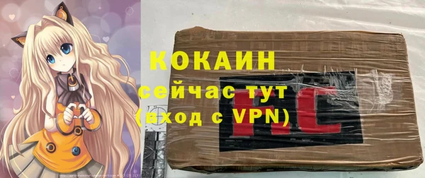 стаф Каменногорск
