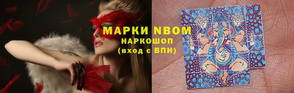 стаф Каменногорск